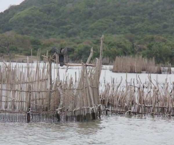Cultural Fishkraal Tour 4